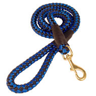 Cord nylon dog training leash for large dogs braided